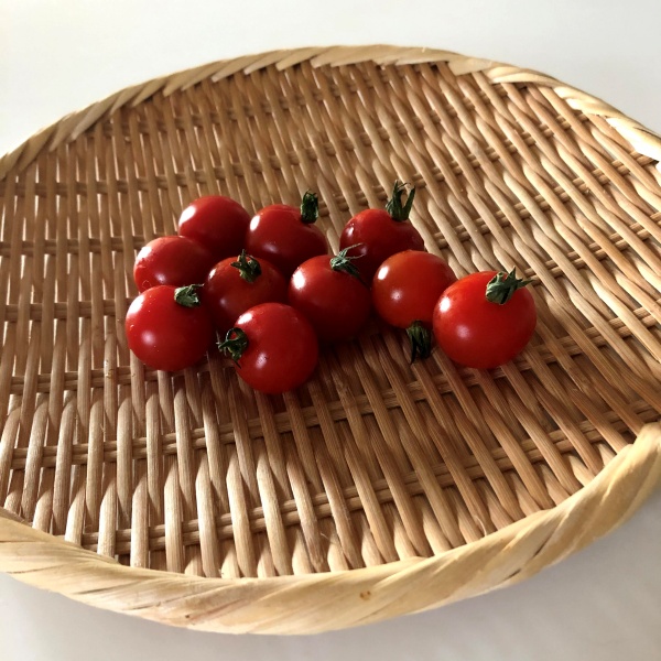 ミニトマト 初めてでも簡単 プランターでの栽培方法と育て方 プリログ